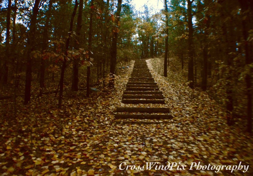 Wendy Cross Photography, CrossWindPix | 8 Mill St, Stirling, ON K0K 3E0, Canada | Phone: (613) 970-4938