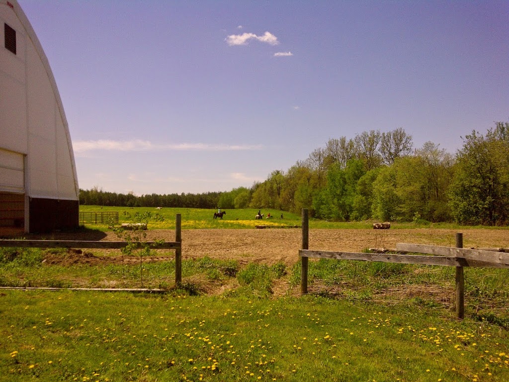On the Forest Boarding | 17299 Kennedy Rd, Cedar Valley, ON L0G 1E0, Canada | Phone: (647) 836-0459