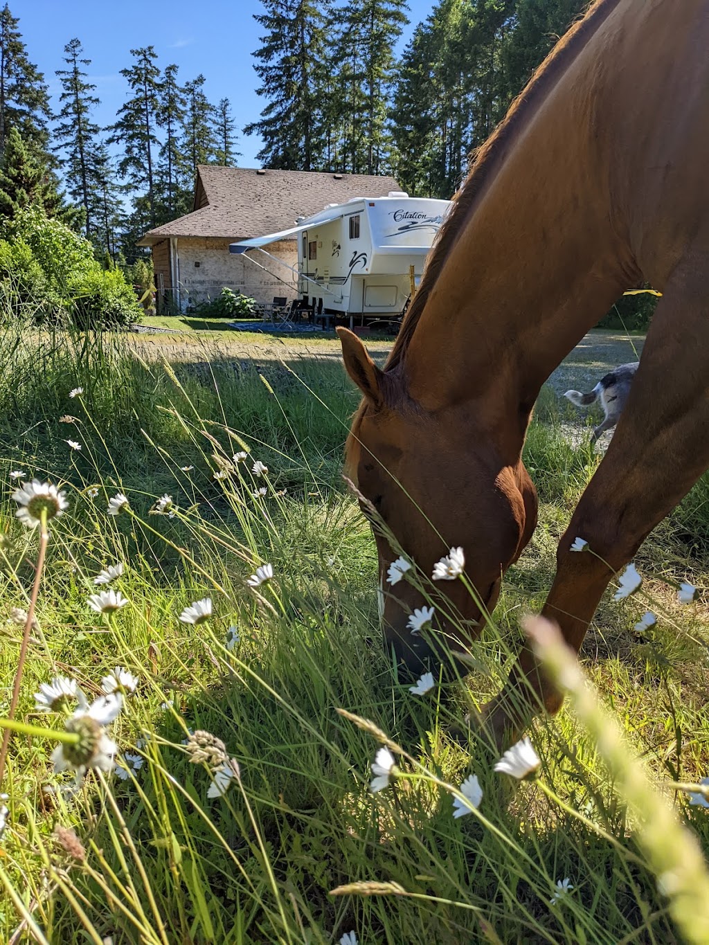 Eastern Arts Therapy & Air BNB | 6199 Smith Rd, Port Alberni, BC V9Y 8M1, Canada | Phone: (250) 720-9036