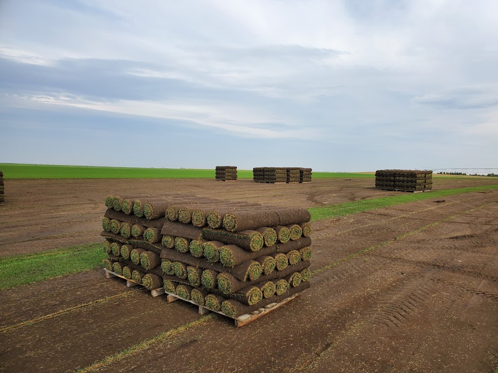 Direct Landscape Supply | 4343 Seton Dr SE, Calgary, AB T3M 3A7, Canada | Phone: (403) 807-1952