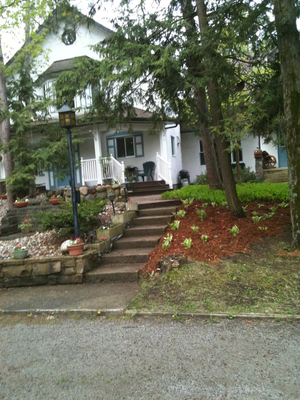 Estate Tree and Lawn Care TLC Inc | 13580 Concession 11, Schomberg, ON L0G 1T0, Canada | Phone: (905) 859-5843