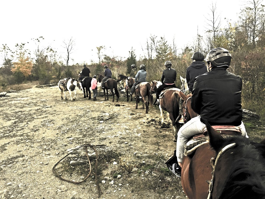 HorsePlay Niagara | 11061 Ellsworth Rd N, Port Colborne, ON L3K 5V4, Canada | Phone: (905) 834-2380