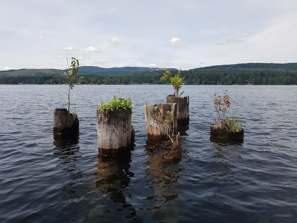 Old Mill Park | 2W2, Recreation Rd, Shawnigan Lake, BC V0R 2W2, Canada | Phone: (250) 746-2620