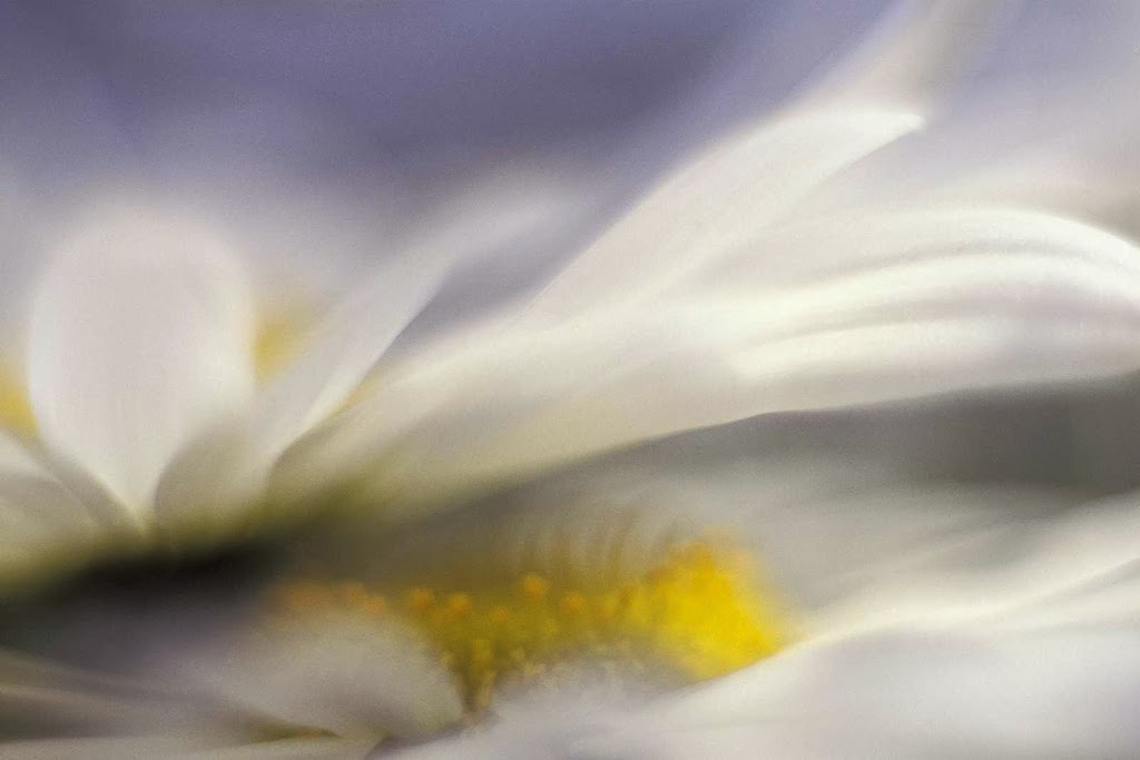 Garry Black Photography - Photo Workshops | 1083 Saint-Emmanuel Terrace, Orléans, ON K1C 2J6, Canada | Phone: (613) 791-8110