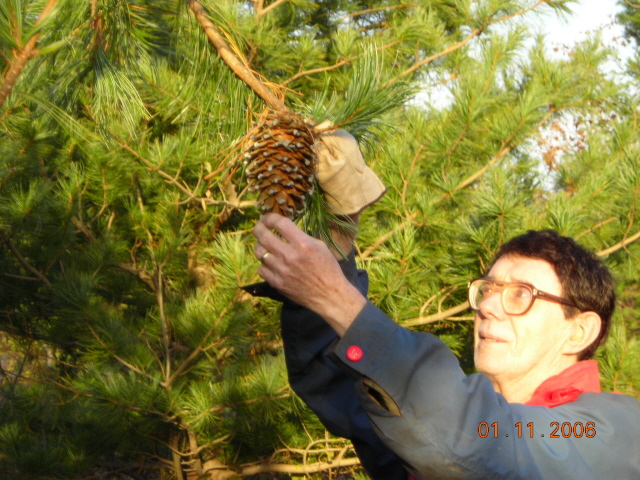 Rhoras Nut Farm & Nursery | 33083 Wills Rd, Wainfleet, ON L0S 1V0, Canada | Phone: (905) 899-3508