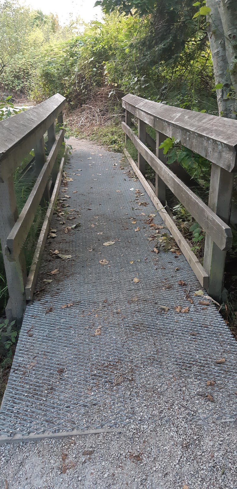 Buckley Park | 19680 48 Ave, Langley City, BC V3A 3K9, Canada
