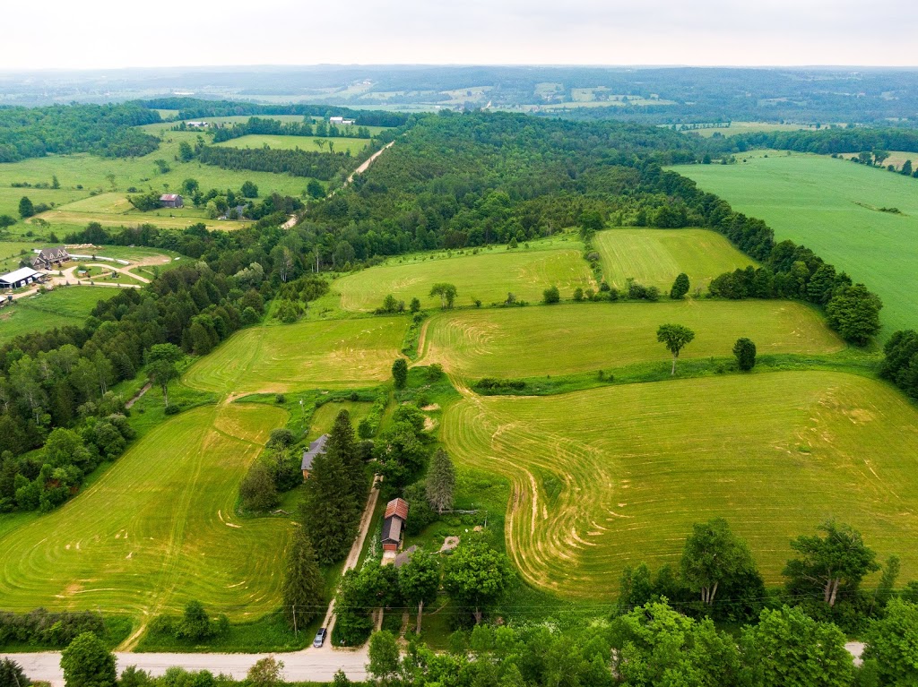 Reuben McCallum - Realtor (Grey Highlands and Area) | 1 Toronto Rd, Flesherton, ON N0C 1E0, Canada | Phone: (519) 924-3513