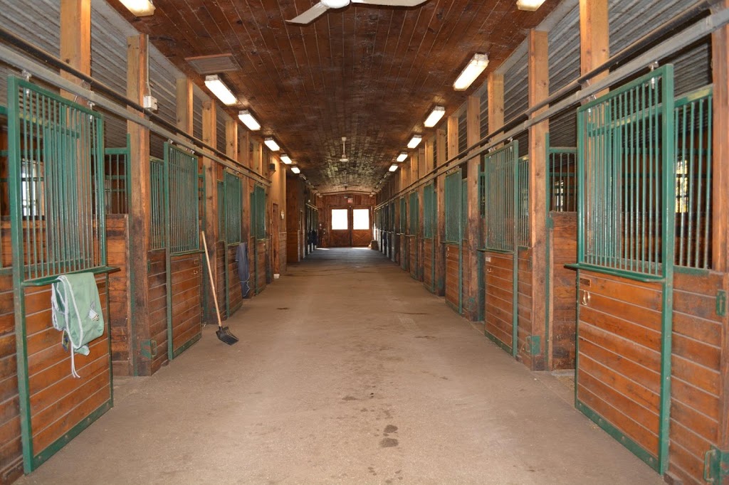 Glen Oro Farm | 2574 10 Line N, Hawkestone, ON L0L 1T0, Canada | Phone: (705) 326-7244
