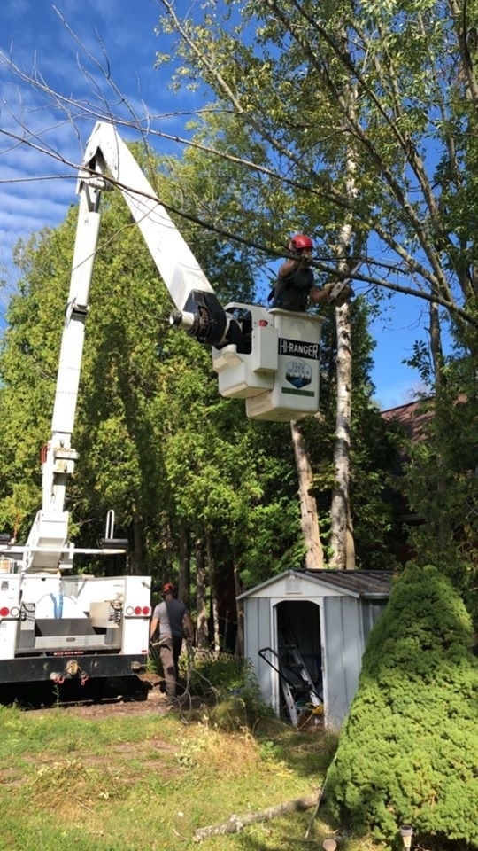 Nine Mile Tree Service | 84679 Kingsbridge Line RR3, Goderich, ON N7A 3X9, Canada | Phone: (519) 955-6869
