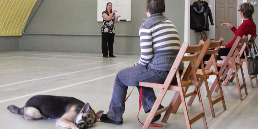 École de dressage Claudine Chantal pour chiens | 165 Rue Chef Aimé Romain, Wendake, QC G0A 4V0, Canada | Phone: (418) 953-9209