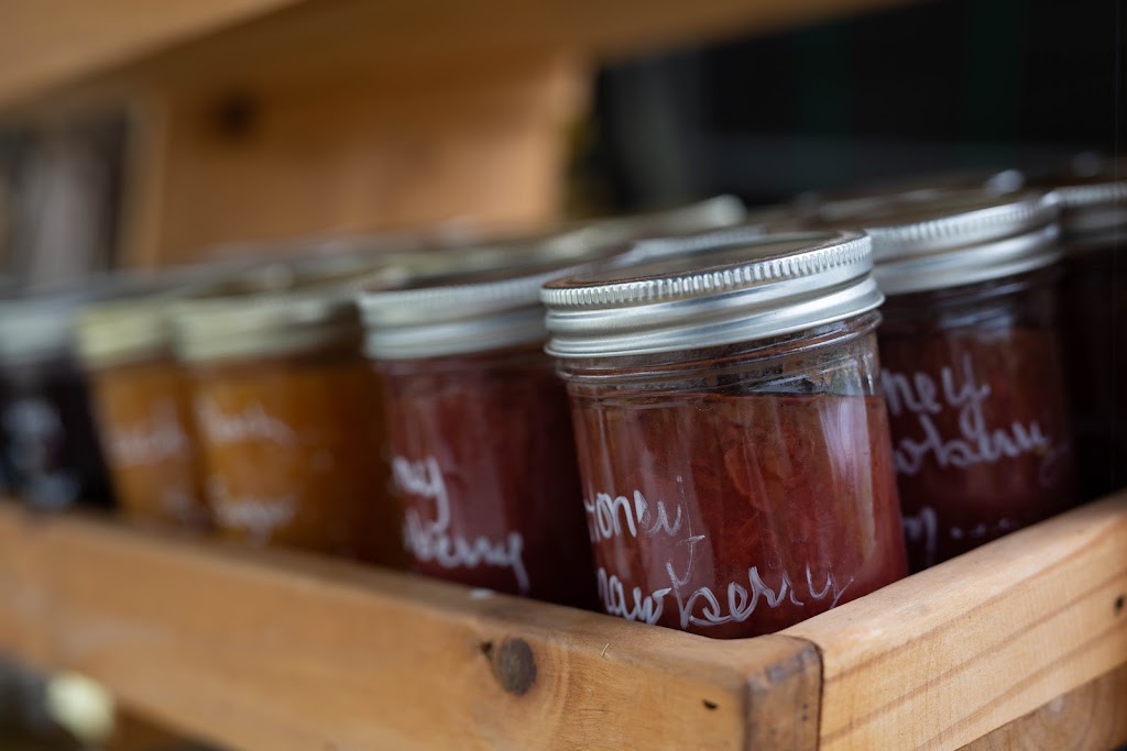 Seeds of Creation | 8744 ON-60, Eganville, ON K0J 1T0, Canada | Phone: (613) 628-5313