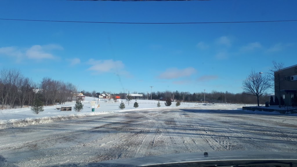 Park | 72 Peace St, Cannington, ON L0E 1E0, Canada | Phone: (705) 432-2355