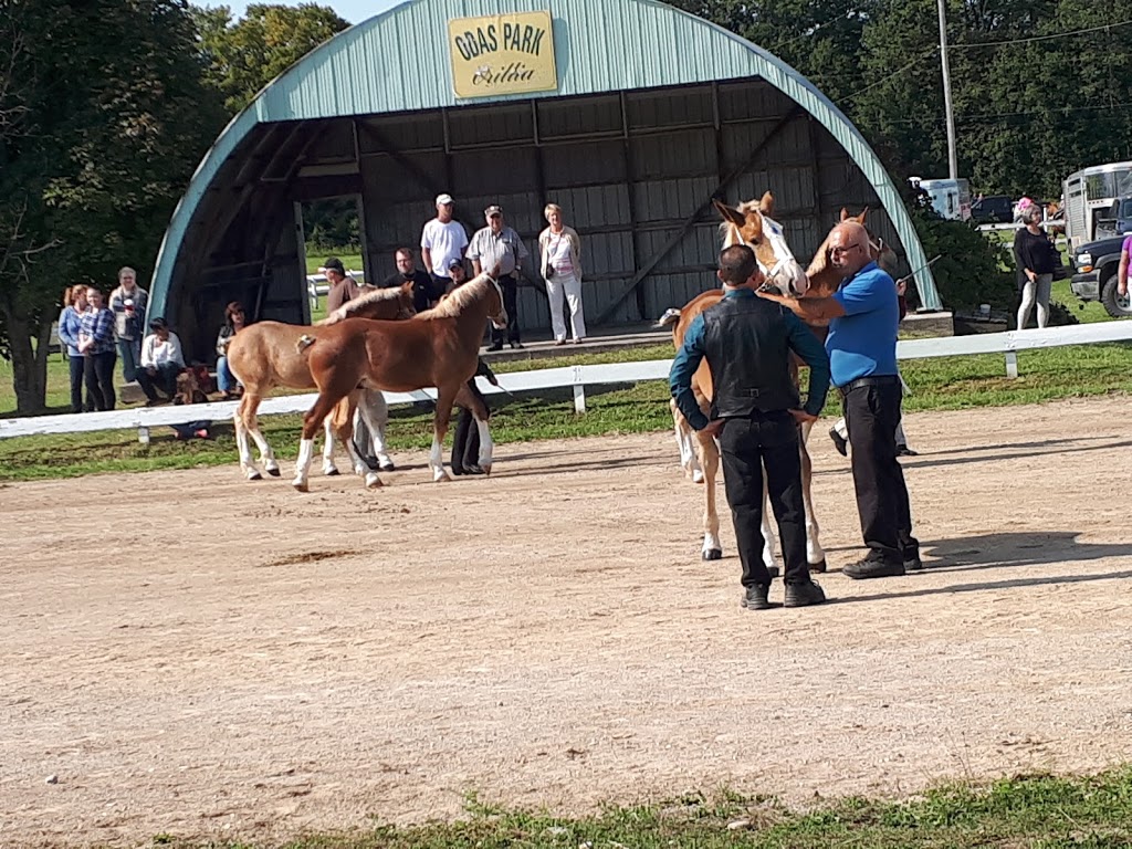 Orillia & District Agricultural Society | 4500 Fairgrounds Rd, Severn, ON L3V 0Y2, Canada | Phone: (705) 325-0353