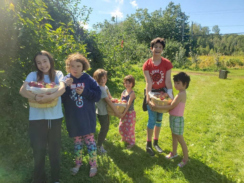 Charlottes Family Orchard | 2287 NB-102, Gagetown, NB E5M 1T5, Canada | Phone: (506) 488-2630
