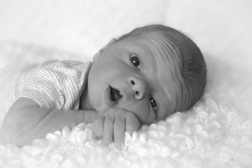 Maternity Tree | 46013 Gore Ave, Chilliwack, BC V2P 4V9, Canada | Phone: (604) 728-8132