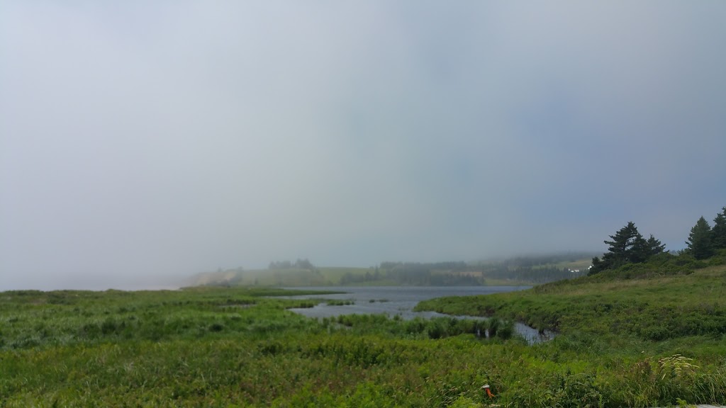 Gladees at Hirtles Beach | Hirtle Beach Rd, Upper Kingsburg, NS B0J 2X0, Canada | Phone: (902) 766-0321