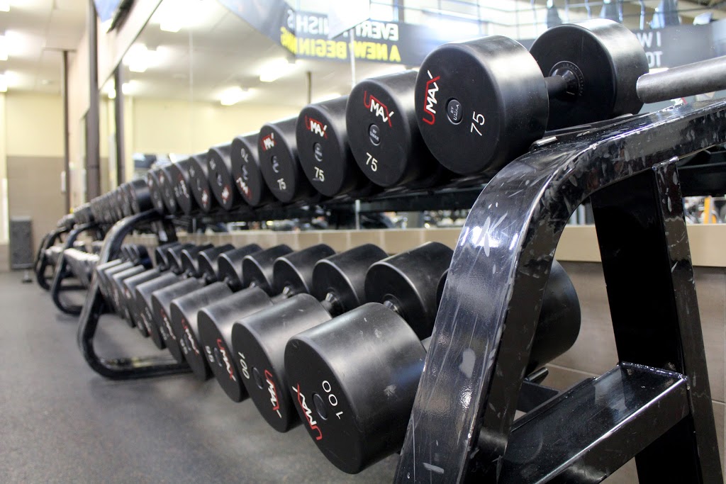 Evolution Fitness South | 3615 Pasqua St # 100, Regina, SK S4S 6W8, Canada | Phone: (306) 545-4653