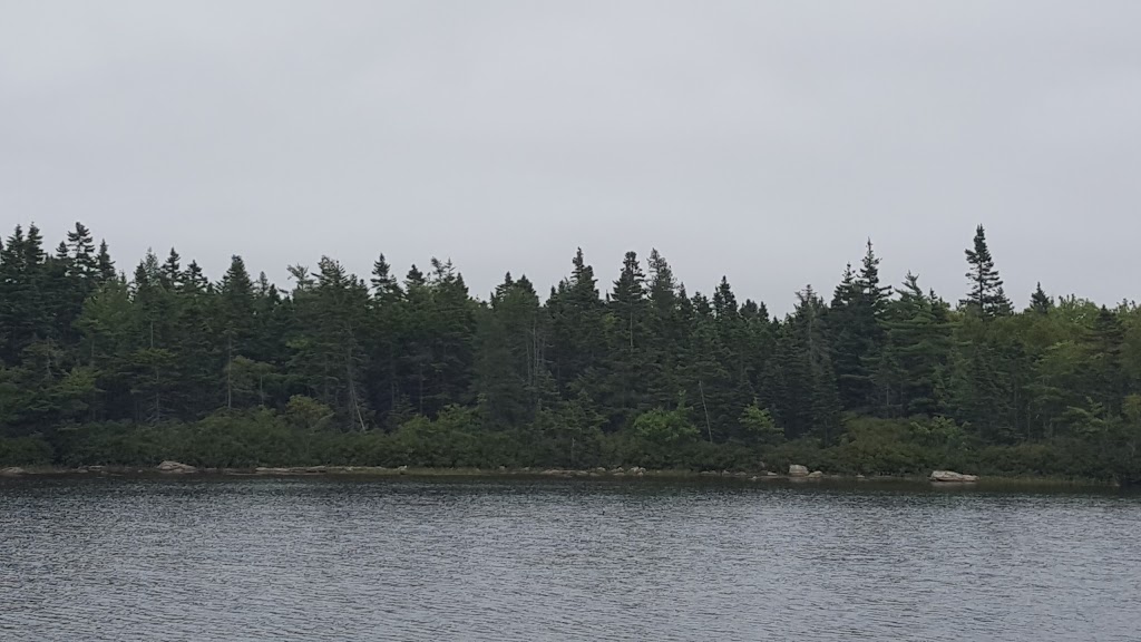 Frenchman Lake Park | Eileen Stubs Avenue, Dartmouth, NS B3B, Canada