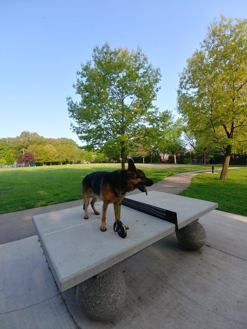 Gwendolen Park | 3 Gwendolen Crescent, North York, ON M2N 2L7, Canada
