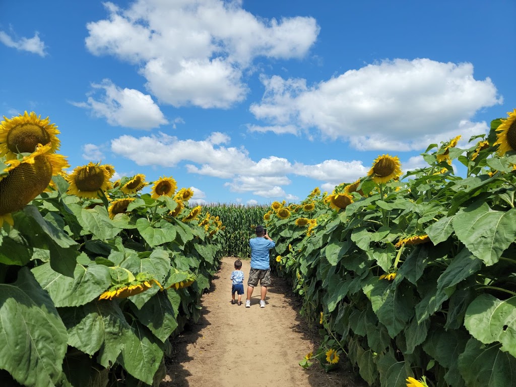 Braggs Wild Bird Seed | 3048 Concession Rd 3, Bowmanville, ON L1C 3K5, Canada | Phone: (905) 623-9198