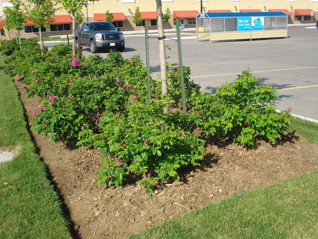 SDM Landscaping and Snow Removal | 7380 Jaysnest Rd, Mississauga, ON L5N 8J1, Canada | Phone: (647) 701-5190