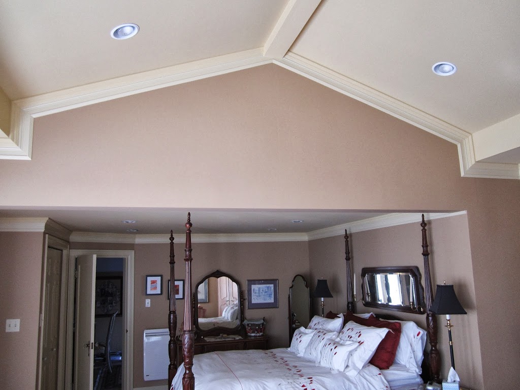 Pro Palette Painting | 1039 Dunsmuir Rd, Victoria, BC V9A 5C6, Canada | Phone: (250) 508-6383