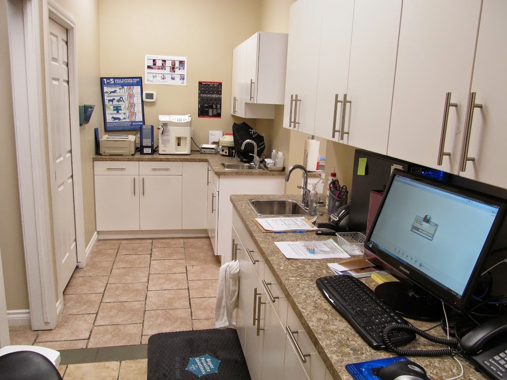 Edmonton Spay and Neuter Clinic | 13667 66 St NW, Edmonton, AB T5C 0B8, Canada | Phone: (780) 756-6062