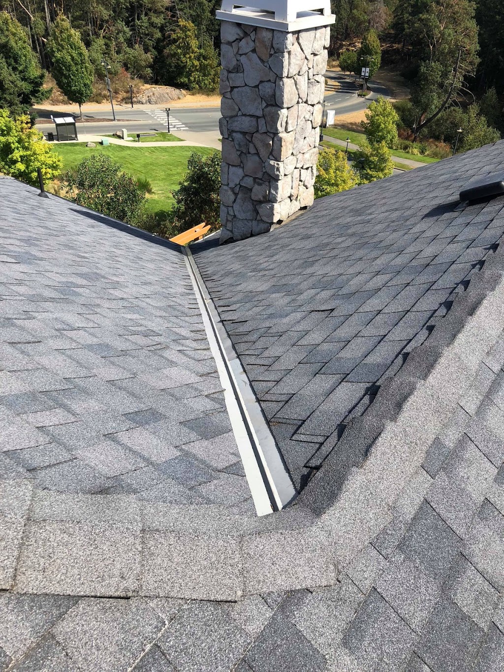 Vancouver Moss Removal | 105-1615 Frances St, Vancouver, BC V5L 1Z3, Canada | Phone: (604) 359-9468