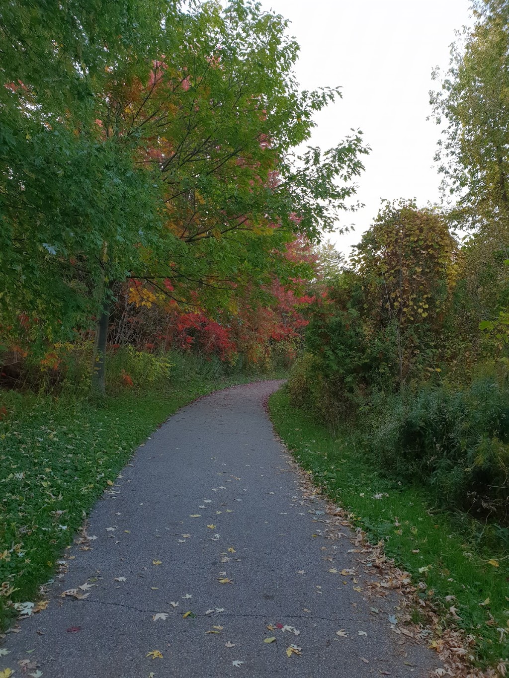Richvale Greenway Park | Unnamed Road, Richmond Hill, ON L4C 5J2, Canada