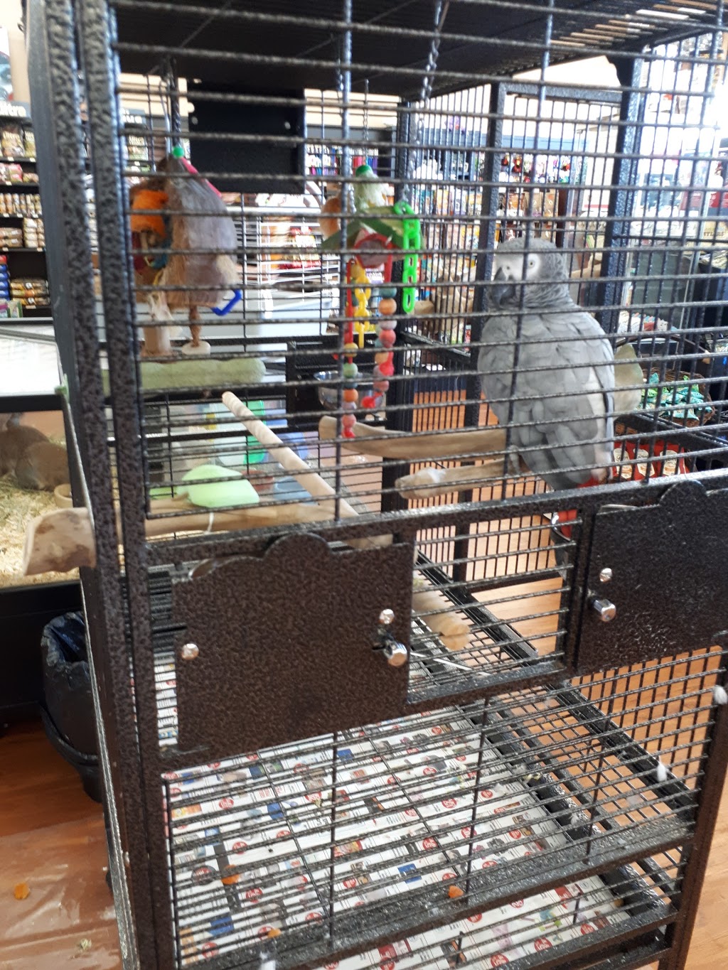 Paulmacs Pets | 410 Fairview Dr, Brantford, ON N3R 7V7, Canada | Phone: (519) 756-7710