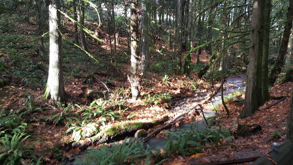 Sea Dog Farm | 1742 Hovey Rd, Saanichton, BC V8M 1S7, Canada | Phone: (250) 380-2899