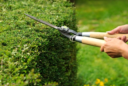 White Diamond Landscaping & Construction | 161, Windstone Link SW, Airdrie, AB T4B 3V8, Canada | Phone: (403) 874-1978
