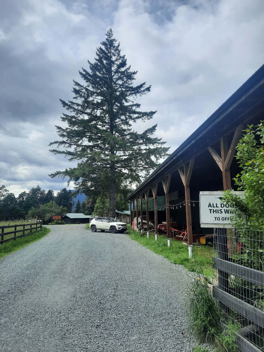 Cedar Ridge Canine | 2521 Townend Rd, Duncan, BC V9L 4L4, Canada | Phone: (250) 710-7525