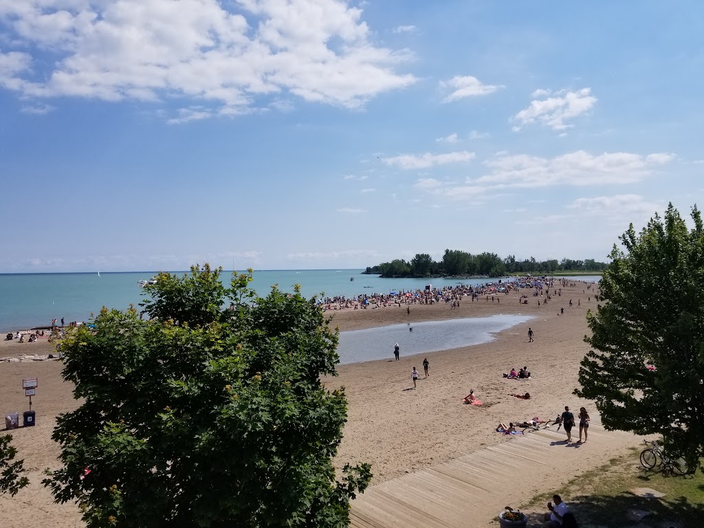 Donald D Summerville Olympic Pool | 1867 Lake Shore Blvd E, Toronto, ON M1P 4N7, Canada | Phone: (416) 392-7688