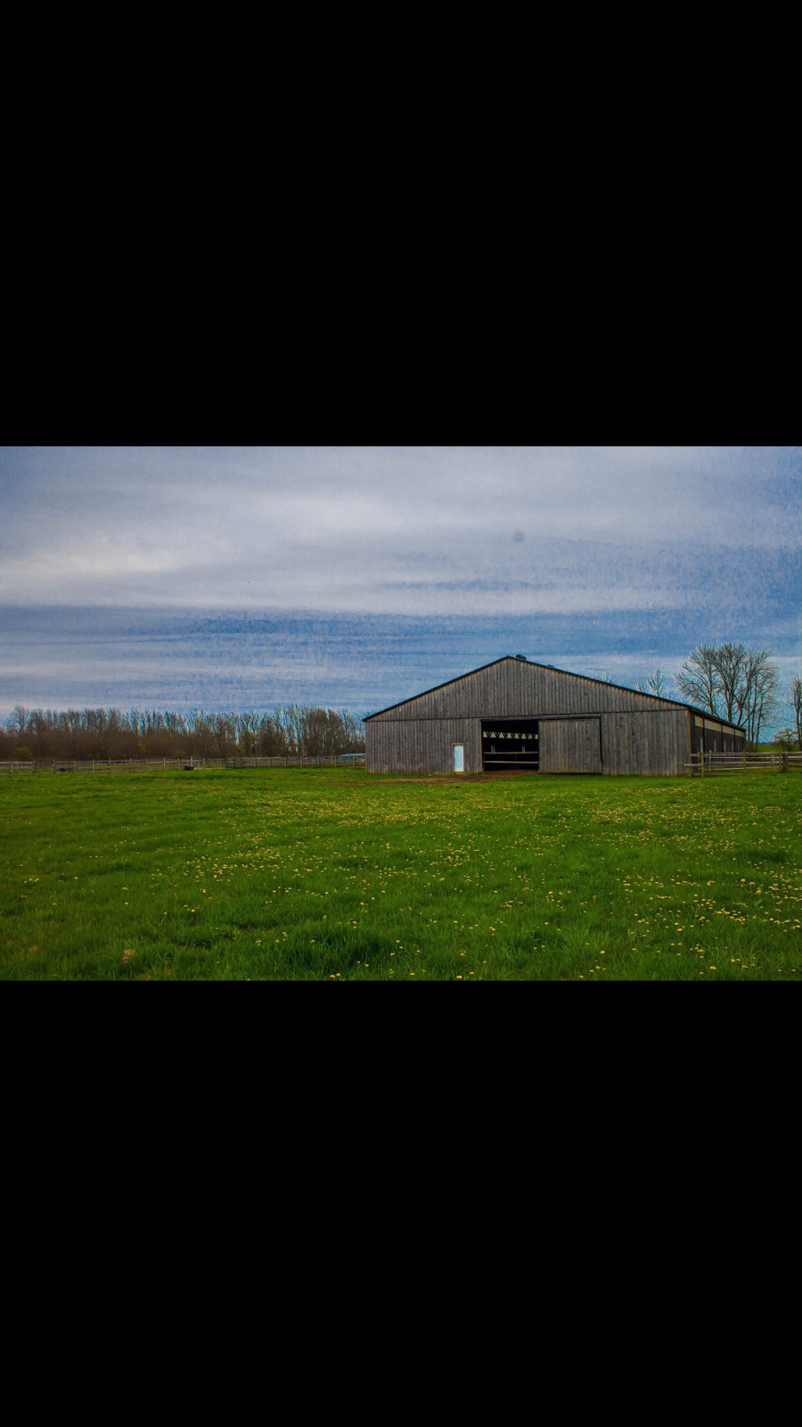 Maximum Equestrian Limited | 8814 Twenty Rd, Smithville, ON L0R 2A0, Canada | Phone: (289) 922-9029