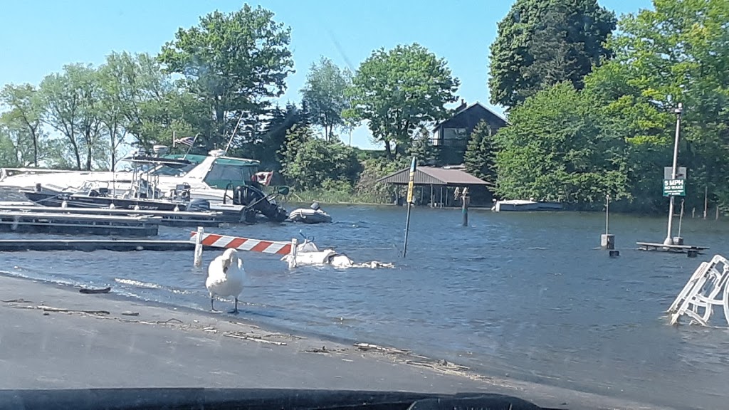 Bootleggers Cove Marina | OConnell Island, Wilson, NY 14172, USA | Phone: (716) 751-6466