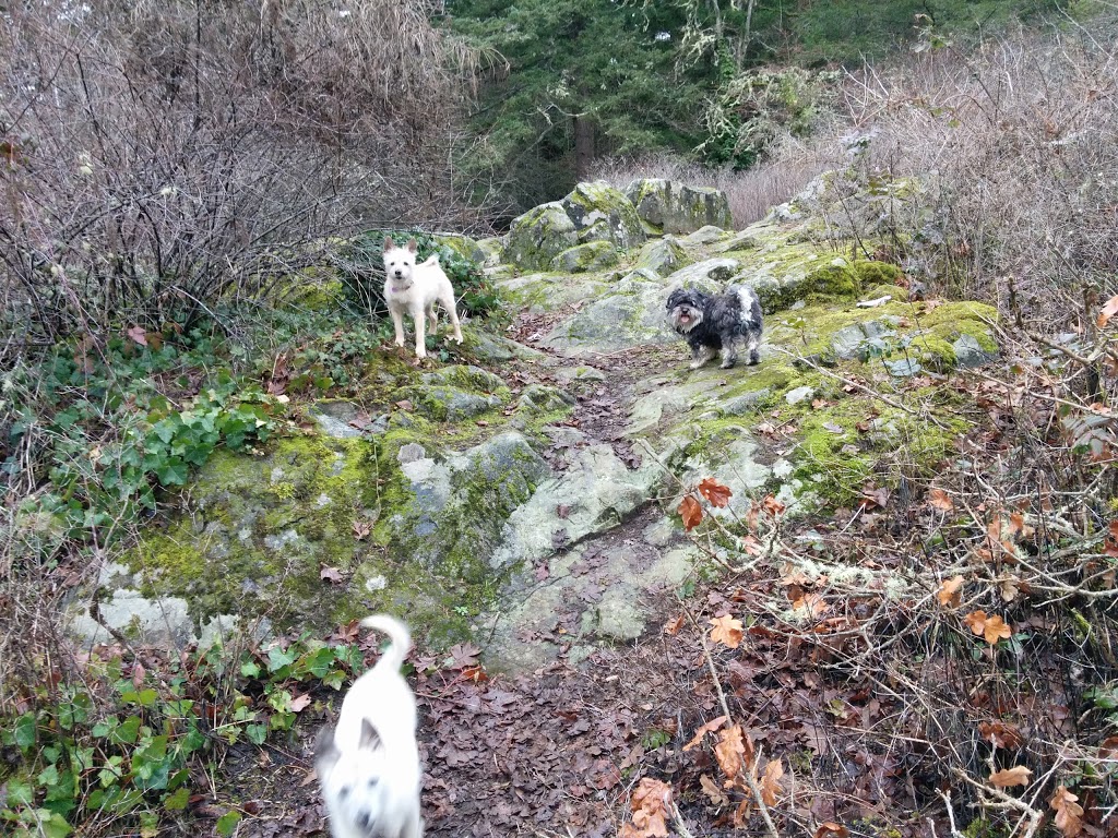 Cuthbert Holmes Park | Trans-Canada Hwy, Victoria, BC V8Z 1L5, Canada | Phone: (250) 475-5522