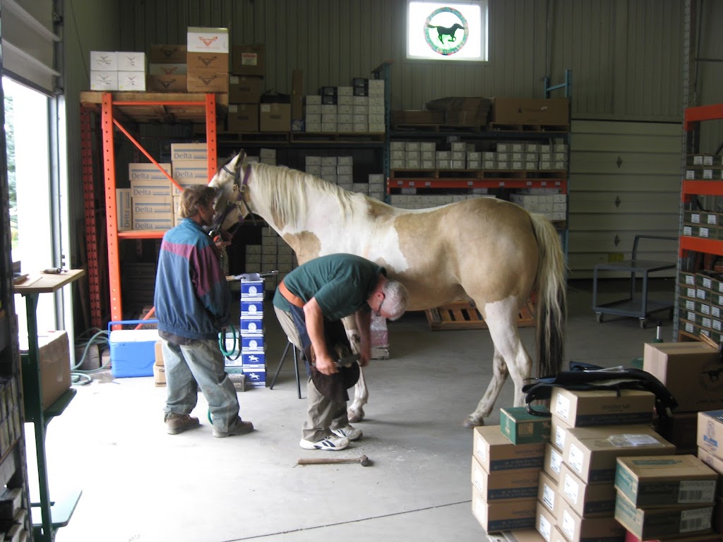 Professional Farrier Supply Inc. | 23 Coles Crescent, Mono, ON L9W 5W2, Canada | Phone: (519) 940-4247