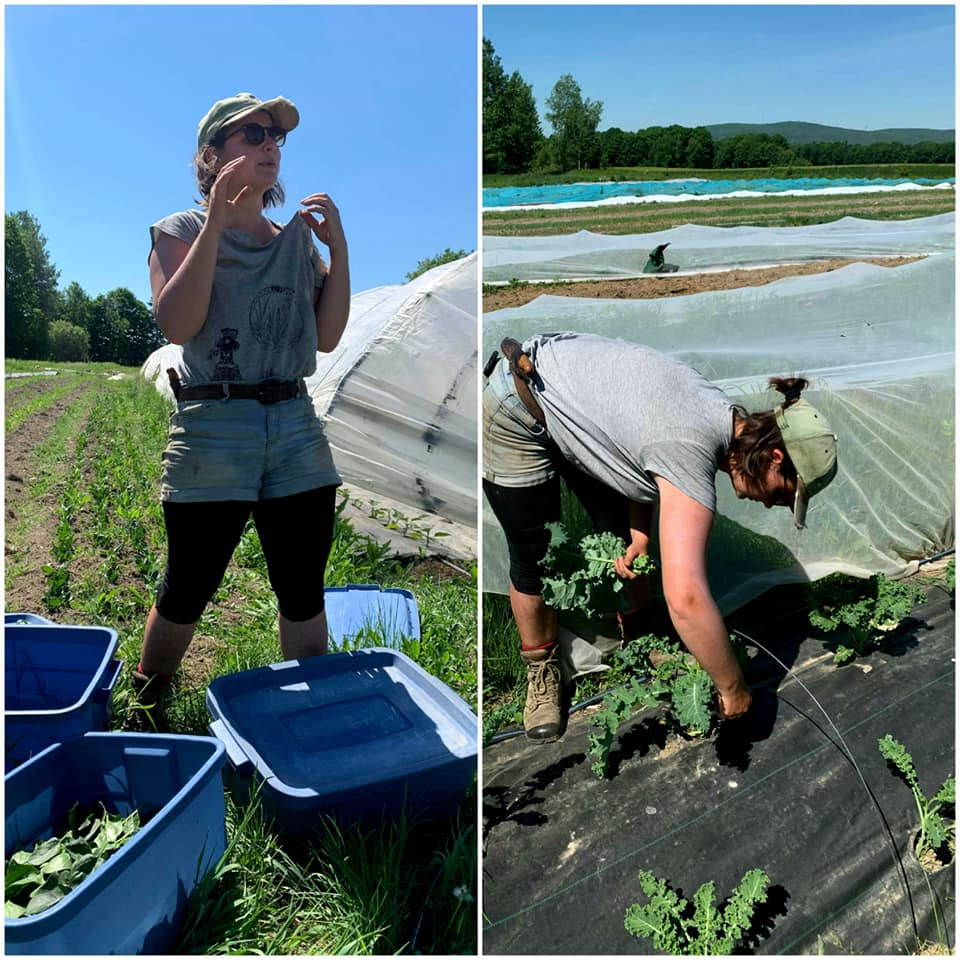 Coop Au bout du rang | 5971 Rang 1 de Sainte Cécile, Saint-Félix-de-Valois, QC J0K 2M0, Canada | Phone: (450) 271-1151