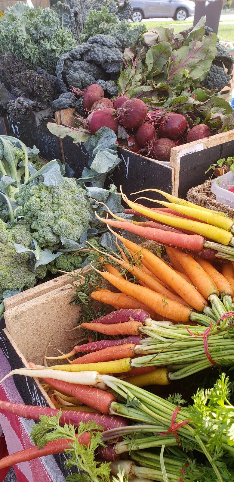 Waterdown Farmers Market | 200 Hamilton St N, Waterdown, ON L0R 2H0, Canada | Phone: (289) 260-6841