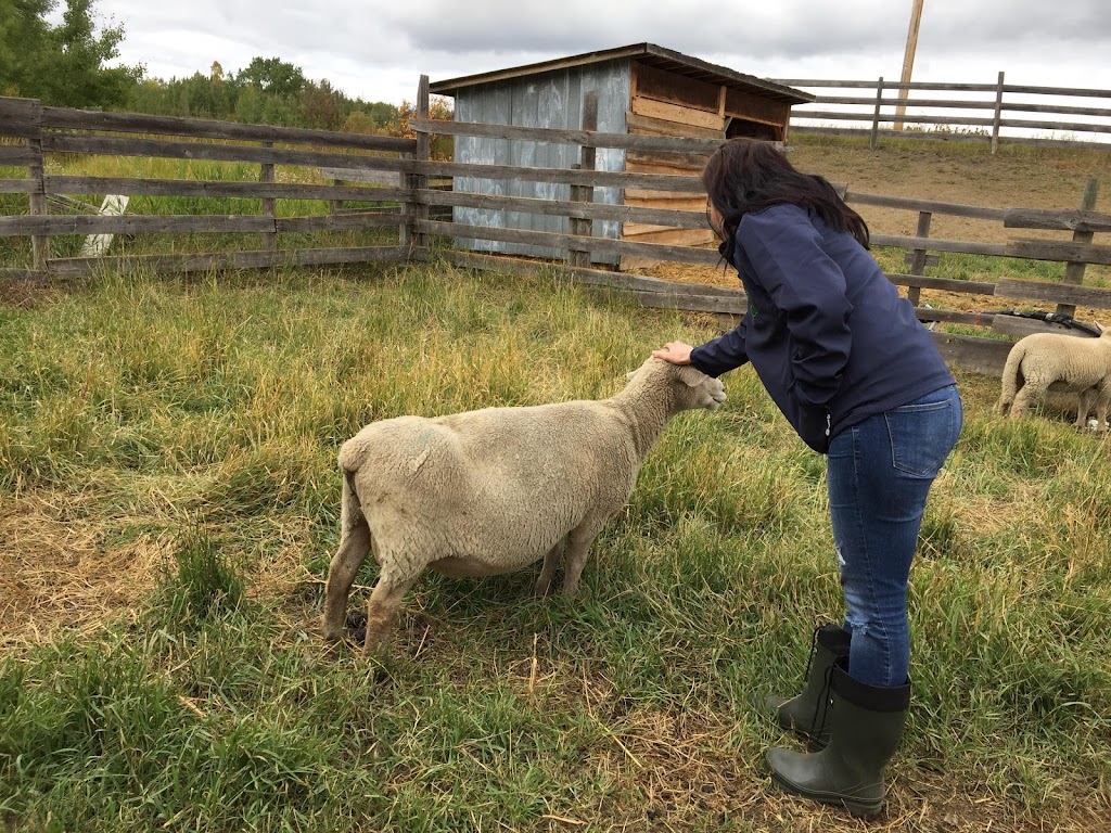 Wildflower Bride Farms | Unnamed Road, Hay Lakes, AB T0B 1W0, Canada | Phone: (780) 878-8393