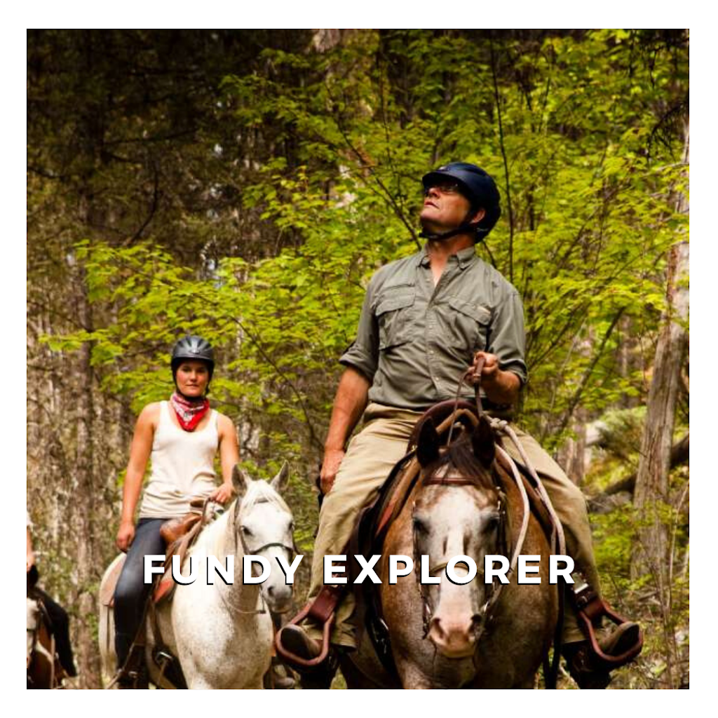 ABConnect Travel & Tourism Services | 2 Old Great Rd, Hopewell Cape, NB E4H 3H5, Canada | Phone: (506) 232-1057