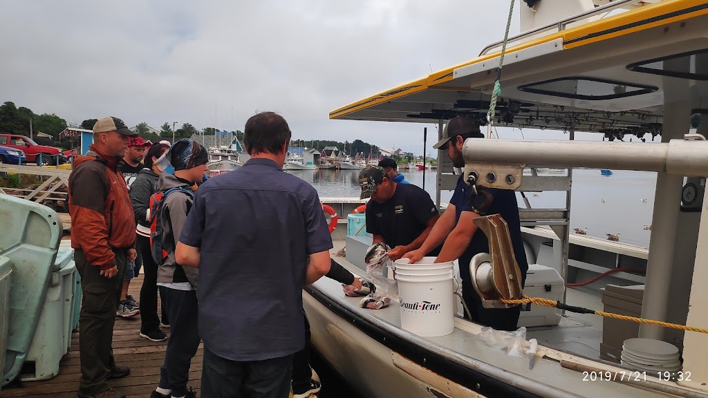 Bearded Skipper Deep Sea Fishing | Wharf, Wharf Rd, North Rustico, PE C0A 1X0, Canada | Phone: (902) 963-2334