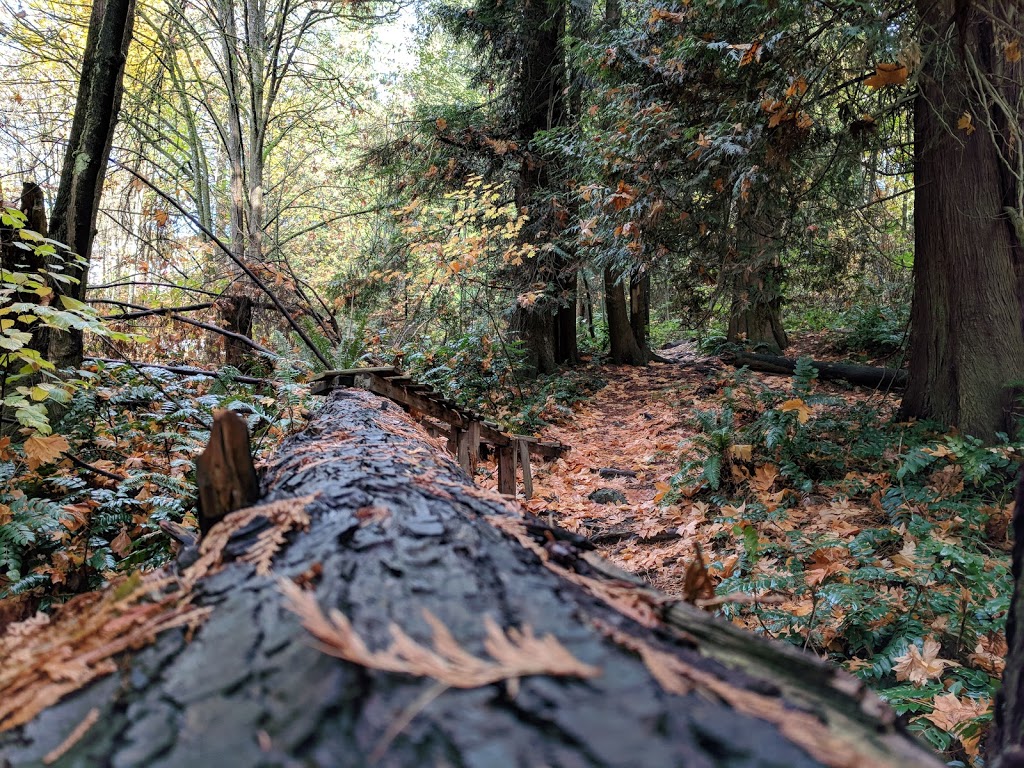 Burnaby 200 Conservation Area | 8401 Broadway, Burnaby, BC V5A 3V2, Canada | Phone: (604) 294-7450