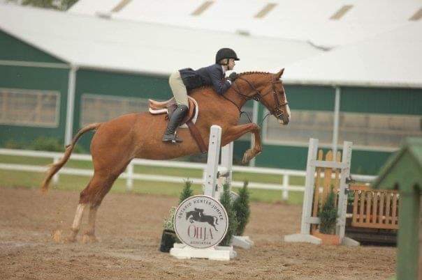 Bridlewood Equestrian | 8735 Milburough Town Line, Milton, ON L0P 1B0, Canada | Phone: (905) 407-0827