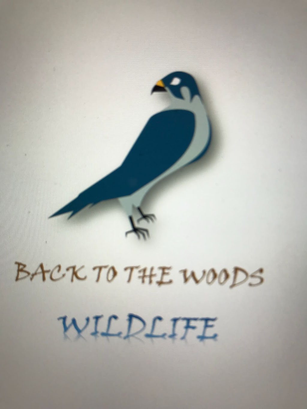 Back to the Woods Wildlife | 120 Terry Clayton Ave, Beaverton, ON L0K 1A0, Canada | Phone: (647) 926-1303
