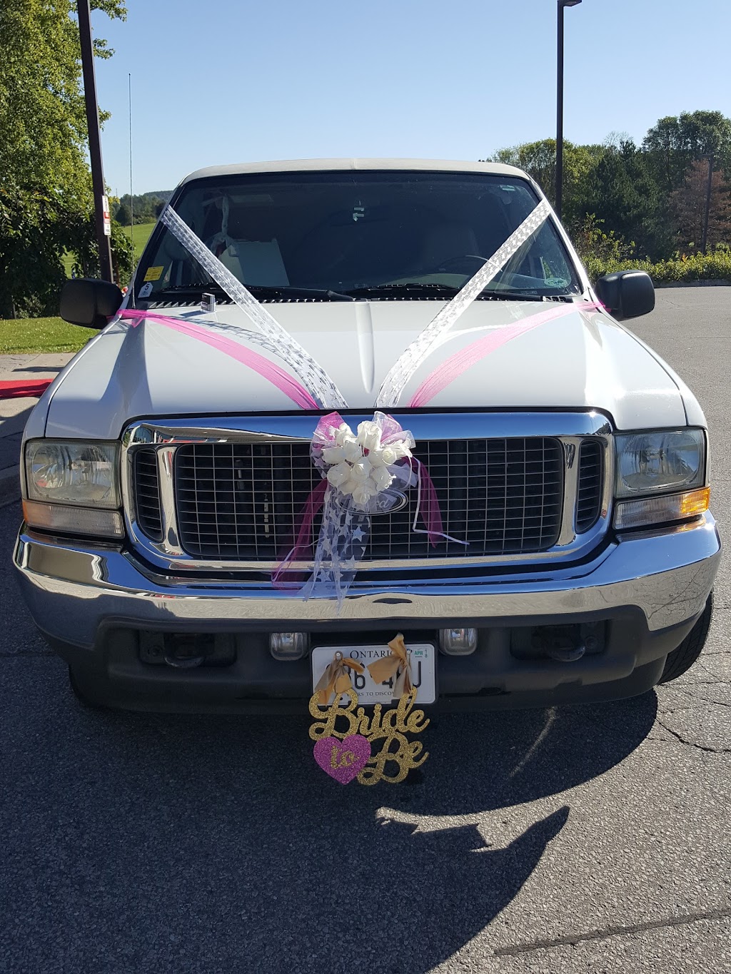 Queens Limousine | Jasper dr., Aurora, ON L4G 3B6, Canada | Phone: (416) 910-4806