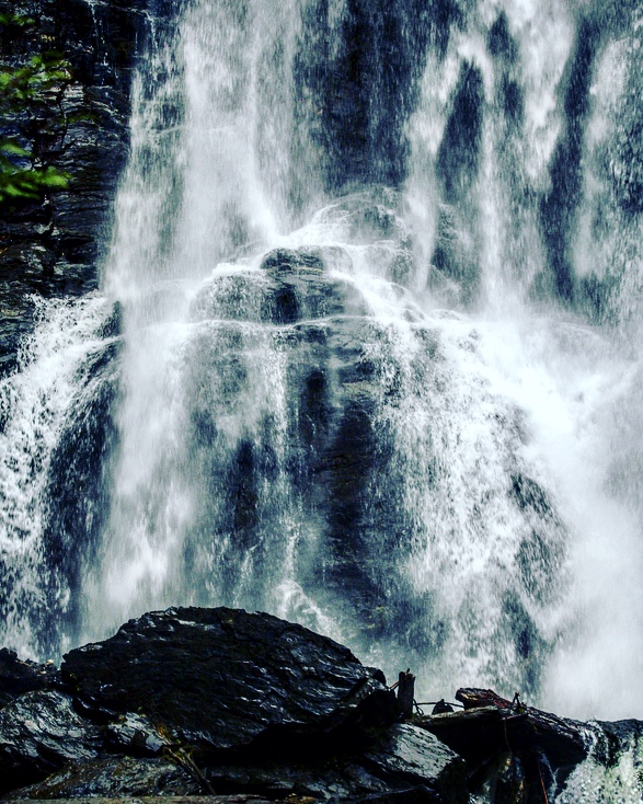 Harrison Eco Tours | 100 Esplanade, Harrison Hot Springs, BC V0M 1K0, Canada | Phone: (604) 316-4460