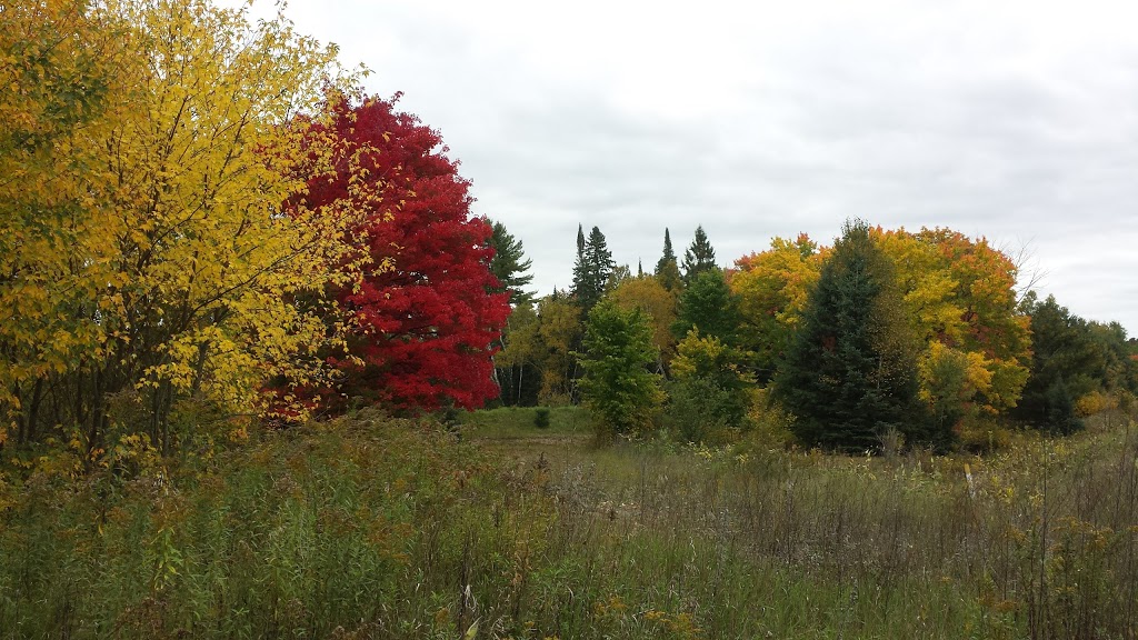 West Painting | 137 Old North Rd, Huntsville, ON P1H 2J4, Canada | Phone: (705) 789-1139