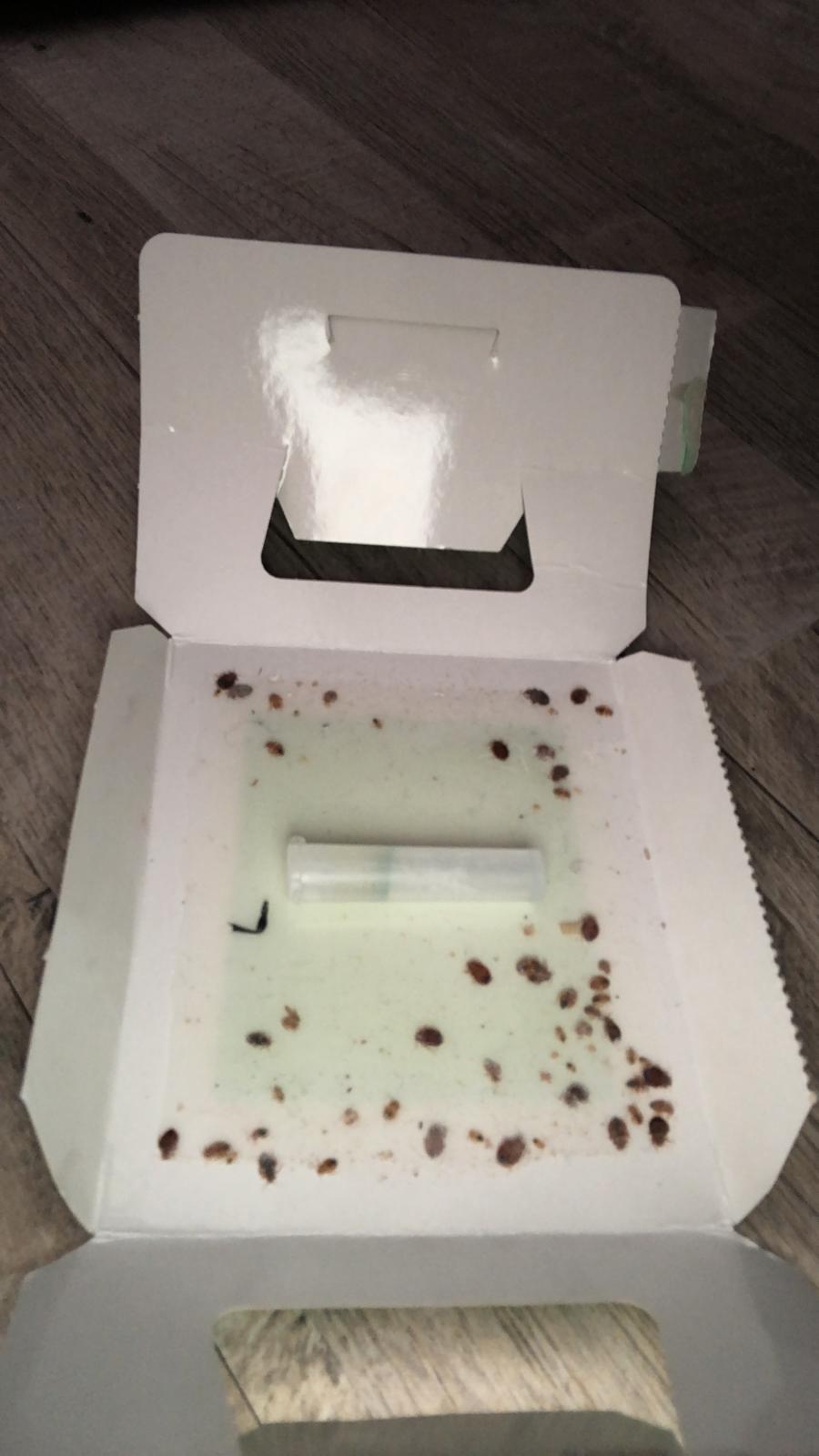 DSA Pest Control / Exterminators | 5239 53 Ave, Mundare, AB T0B 3H0, Canada | Phone: (780) 800-0791